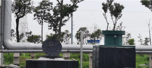 新光智能液壓井蓋在如東縣羊口港電力管廊的應用 賦能城市綠化管理的智能革新