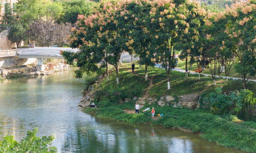 重慶南川濱河公園品質提升改造全面完成，城市綠化管理助力休閑觀光體驗全面升級