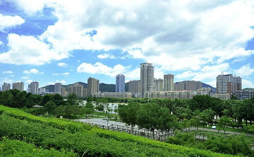 環(huán)衛(wèi)綠化一體化運營 讓城市園林綠化管理更系統(tǒng)、更精細(xì)
